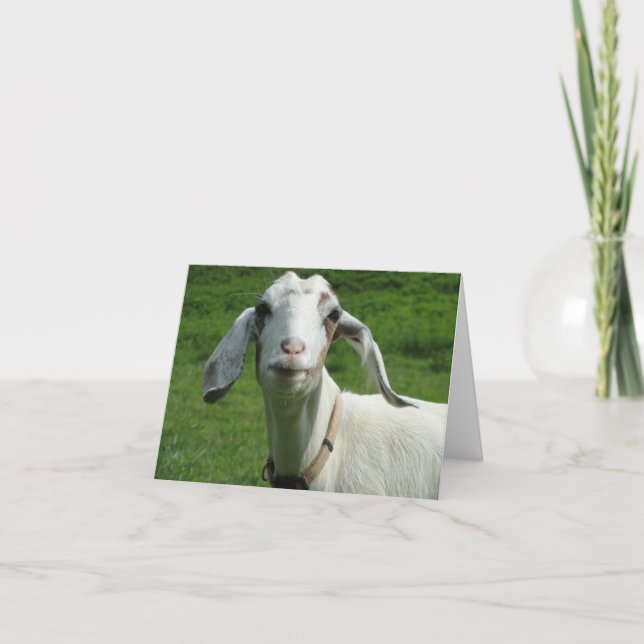 Cartão De Festividades Happy Goat Card (Frente)