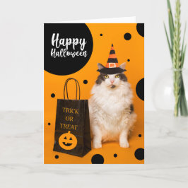 Cartão De Festividades Happy Halloween For Anyone Cute Cat in Witch Hat 