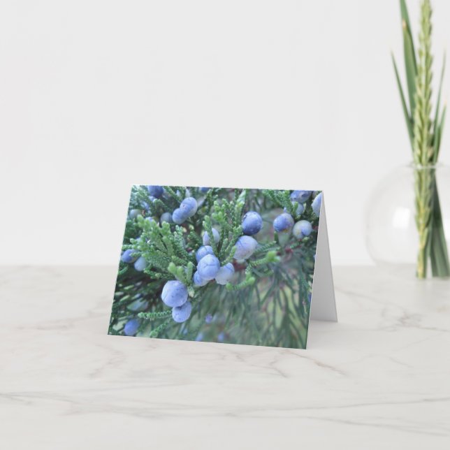 Cartão De Festividades Happy Hanukkah: Juniper Berries (Frente)