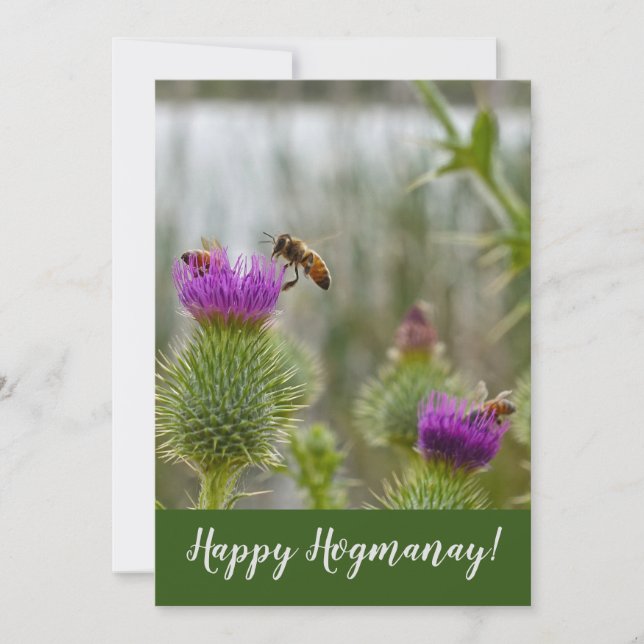 Cartão De Festividades Happy Hogmanay Scottish Thistle Honey Bees (Frente)