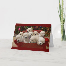 Cartão De Festividades Happy Holiday Golden Retriever puppies
