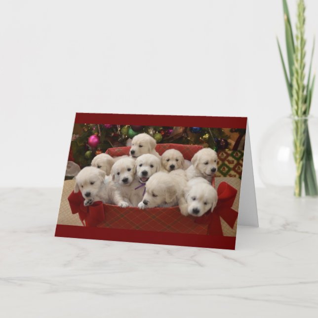 Cartão De Festividades Happy Holiday Golden Retriever puppies (Frente)