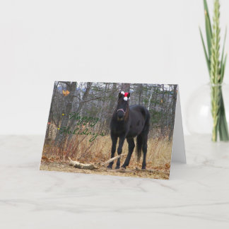 Cartão De Festividades Happy Holidays - Annie Greeting Card