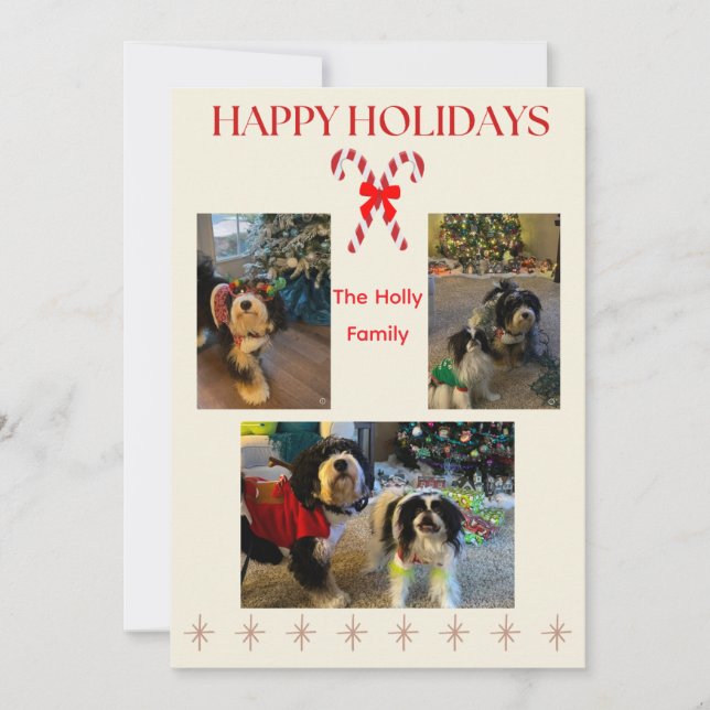 Cartão De Festividades Happy Holidays Candy Cane and Twinkle Card (Frente)