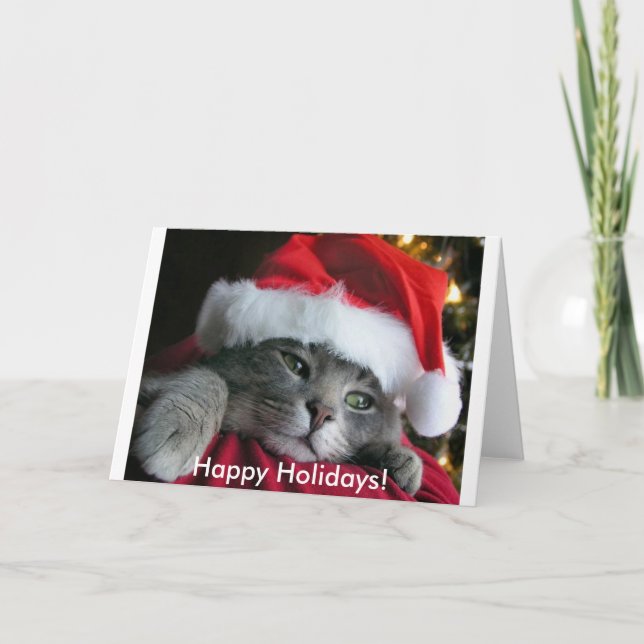 Cartão De Festividades Happy Holidays! Cute Kitten Card (Frente)