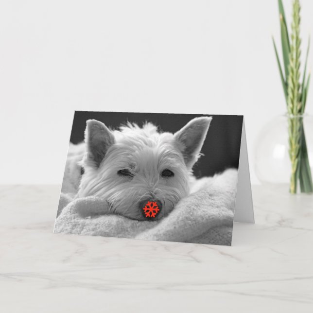 Cartão De Festividades Happy Holidays - Cute Westie Dog Card (Frente)