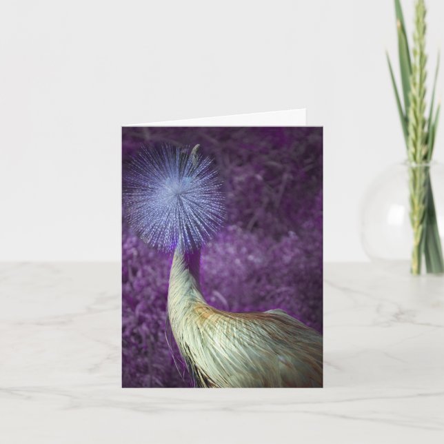 Cartão De Festividades happy holidays & enjoy the new year (Frente)