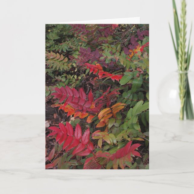 Cartão De Festividades Happy Holidays from the Pacific Northwest (Frente)