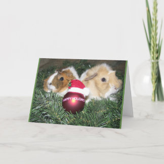 Cartão De Festividades Happy Holidays Guinea Pig Card