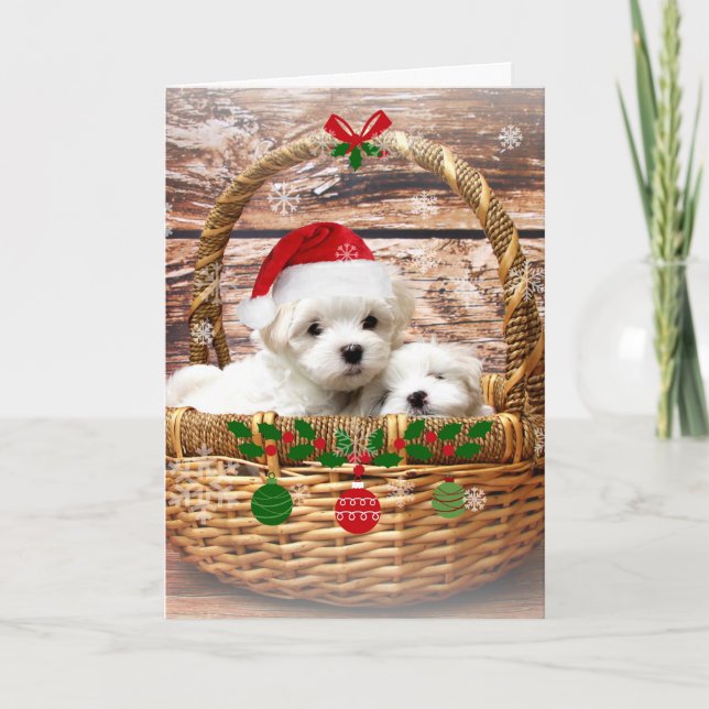 Cartão De Festividades Happy Holidays: Maltese Puppies (Frente)