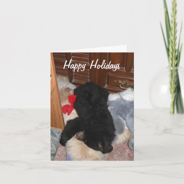 Cartão De Festividades Happy Holidays - Shenandoah Bright (Frente)