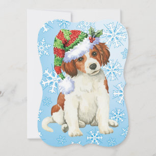 Cartão De Festividades Happy Howlidays Kooikerhondje