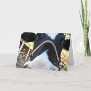 Cartão De Festividades Happy Moo Year