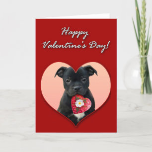Cartão De Festividades Happy Namorados Staffordshire Bull Terrier Card