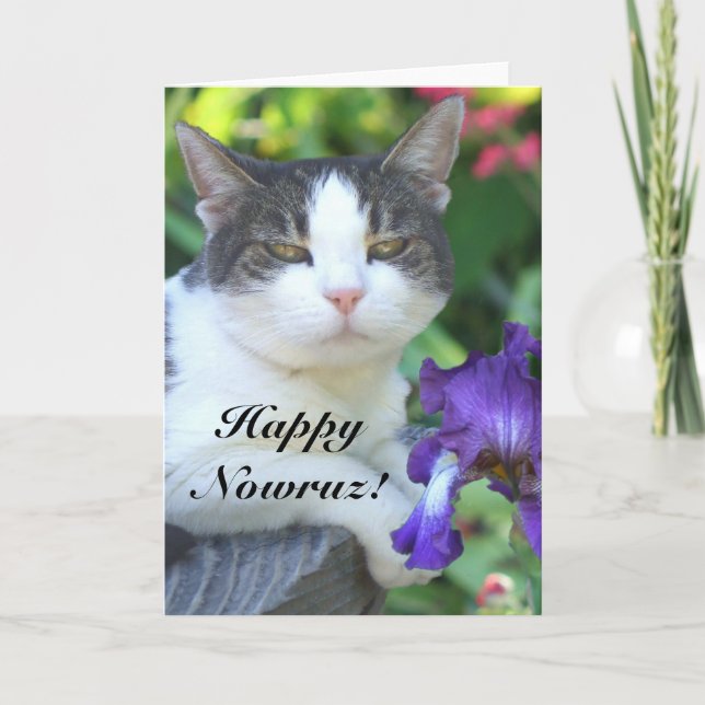 Cartão De Festividades Happy Nowruz Cat in the garden card (Frente)