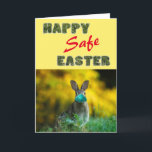 Cartão De Festividades Happy & Safe Easter | Cute Funny Rabbit with Mask<br><div class="desc">Celebrate 'Happy Easter Day' and send greetings to your loved ones with this cute and funny Holiday Card featuring a Rabbit with a mask wishing you a 'HAPPY & SAFE EASTER!'. All the texts are pre-arranged for you to personalize easily and quickly with your own. Available as a folded card,...</div>