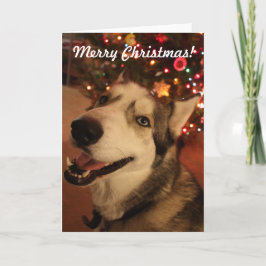Cartão De Festividades Happy Siberian Husky Christmas Card