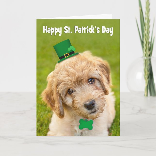Cartão De Festividades Happy St. Patrick's Day Cute Labradoodle iDog in (Frente)