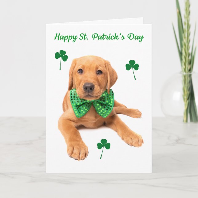 Cartão De Festividades Happy St. Patrick's Day Cute Red Fox Lab Puppy (Frente)