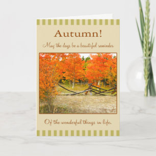 Cartão De Festividades Happy Thanksgiving! Colorful Autumn Aspens