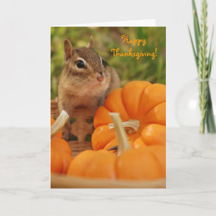 Cartão De Festividades Happy Thanksgiving Little Chipmunk Card