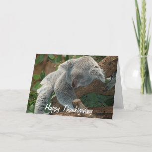 Cartão De Festividades Happy Thanksgiving Napping Koala Bear