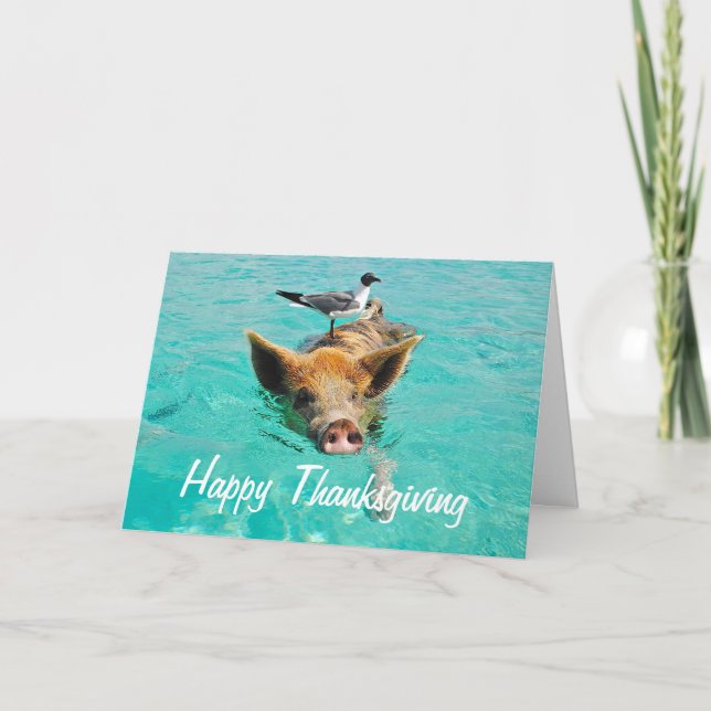 Cartão De Festividades Happy Thanksgiving Swimming Pig (Frente)