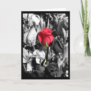 Cartão De Festividades Happy Valentine's Day