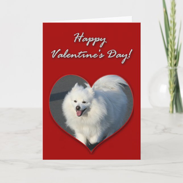 Cartão De Festividades Happy Valentine's Day  American Eskimo Dog  Card (Frente)