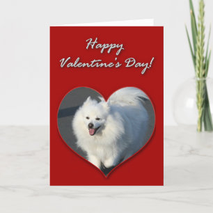 Cartão De Festividades Happy Valentine's Day American Eskimo Dog Card