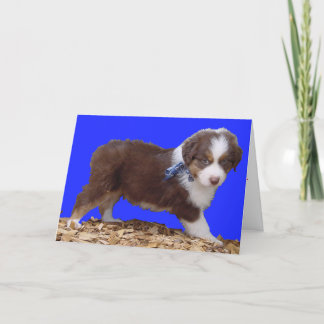 Cartão De Festividades Happy Valentine's Day Aussie