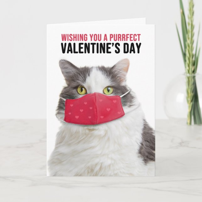 Cartão De Festividades Happy Valentine's Day Big Cat in Face Mask (Frente)