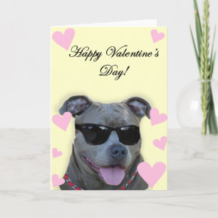 Cartão De Festividades Happy Valentine's Day Blue pitbull with glasses