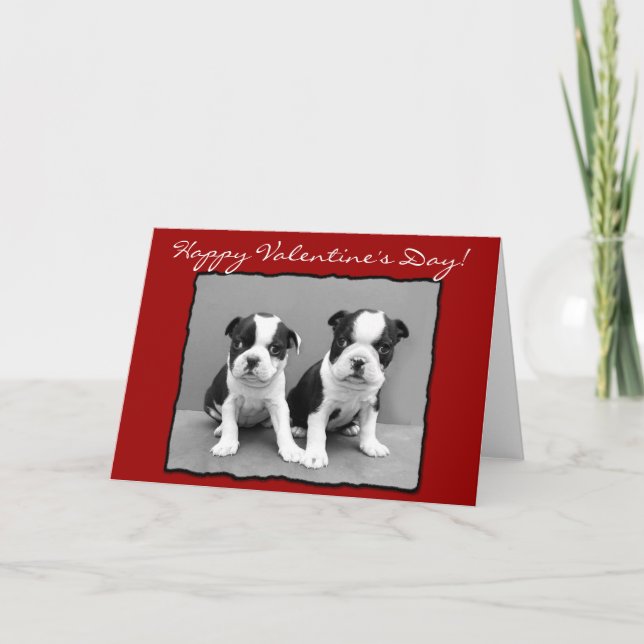 Cartão De Festividades Happy Valentine's Day Boston Terrier Greeting Card (Frente)