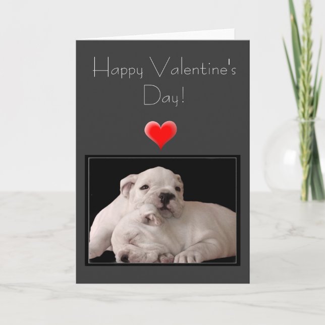 Cartão De Festividades Happy Valentine's Day Bulldog Greeting Card (Frente)