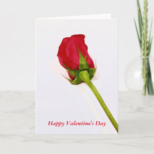 Cartão De Festividades Happy Valentine's Day card