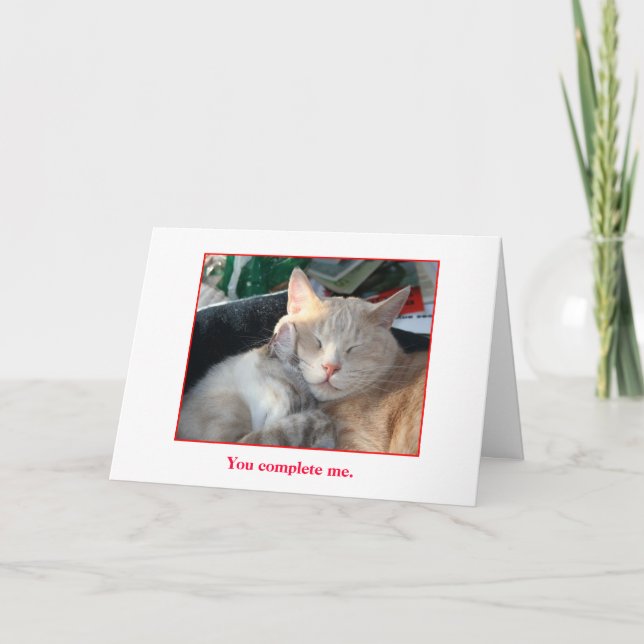 Cartão De Festividades Happy Valentine's Day Card (Frente)