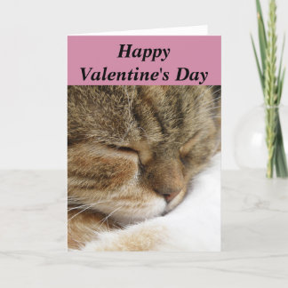 Cartão De Festividades Happy Valentine's Day Cat Card
