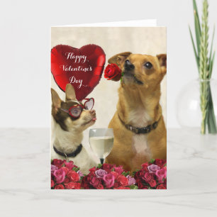 Cartão De Festividades Happy Valentine's day chihuahua dogs card