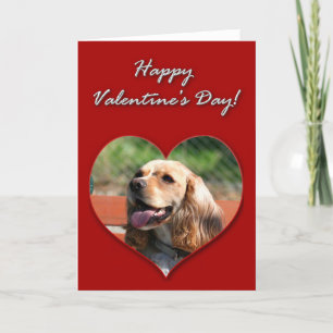 Cartão De Festividades Happy Valentine's day Cocker Spaniel Card
