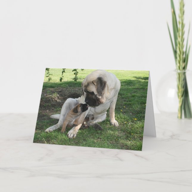 Cartão De Festividades Happy Valentines Day Dad Mastiff card (Frente)