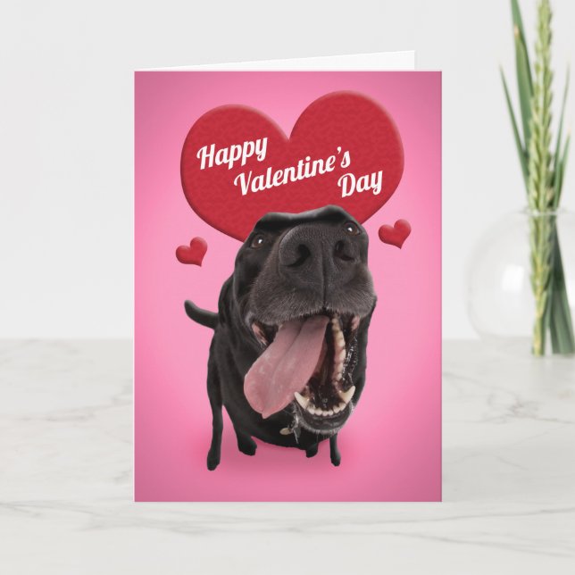 Cartão De Festividades Happy Valentine's Day For Anyone Cute Black Dog (Frente)