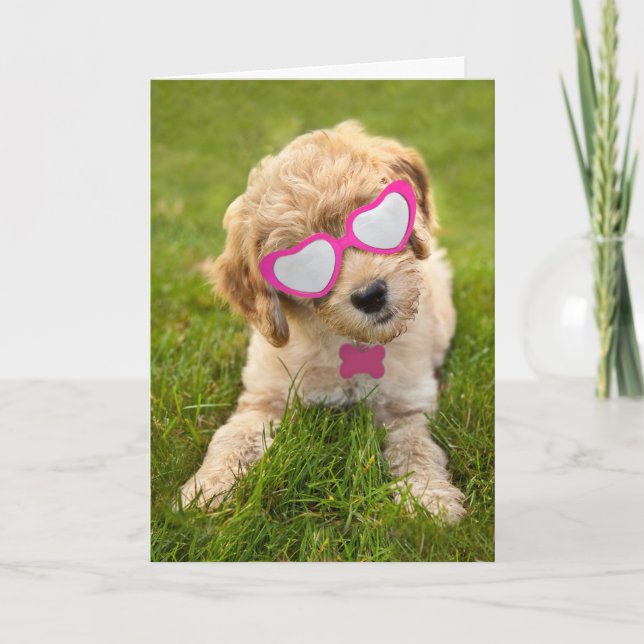 Cartão De Festividades Happy Valentine's Day For Anyone Cute Goldendoodle (Frente)