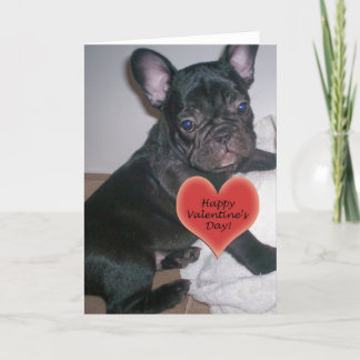 Cartão De Festividades Happy Valentine's Day French Bulldog Card