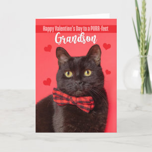 Cartão De Festividades Happy Valentine's Day Grandson Cute Cat in Bow Tie