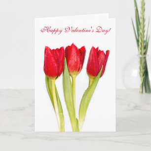 Cartão De Festividades Happy Valentines Day Greeting Card