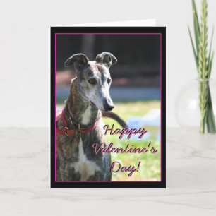 Cartão De Festividades Happy Valentine's Day Greyhound greeting Card