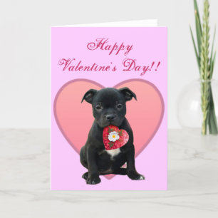 Cartão De Festividades Happy Valentine's Day Pitbull Puppy greeting card