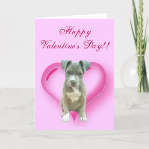 Cartão De Festividades Happy Valentine's Day Pitbull Puppy greeting card