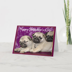 Cartão De Festividades Happy Valentine's Day Pug puppies greeting card